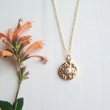 Shell Pearl