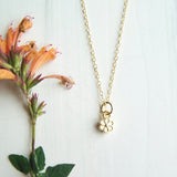 Forget Me Not